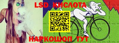 эйфоретик Берёзовский