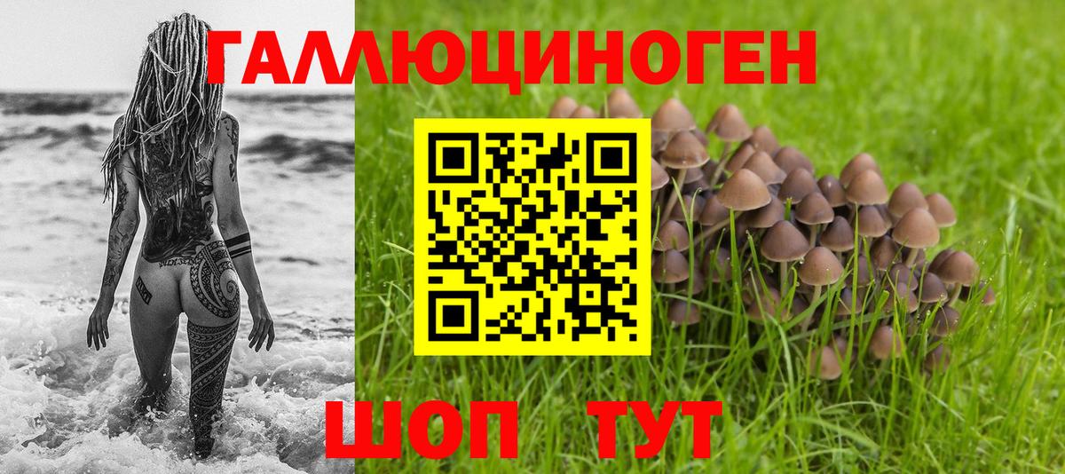 Псилоцибиновые грибы ЛСД Губкинский